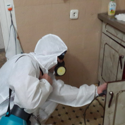 Дезинфекция от муравьев в квартире в Рогачёво