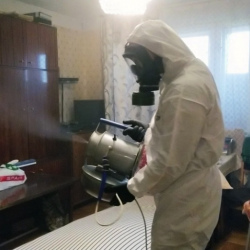 Дезинфекция от клопов в Рогачёво