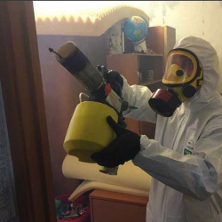 Уничтожение клопов в квартире. Рогачёво